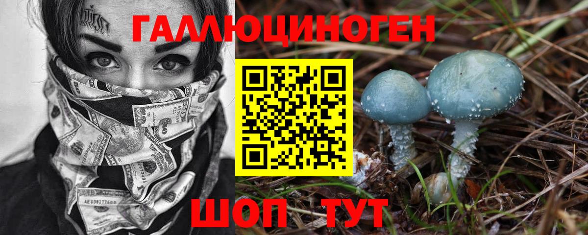 Псилоцибиновые грибы Cubensis Нижний Новгород