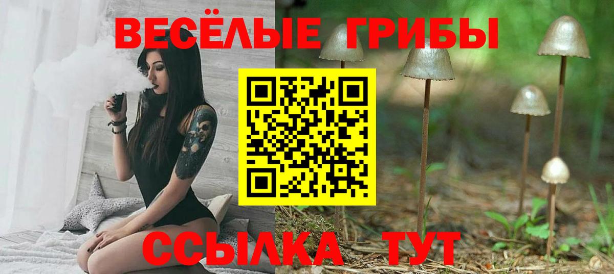 Псилоцибиновые грибы Cubensis  Вход с VPN  Нижний Новгород 
